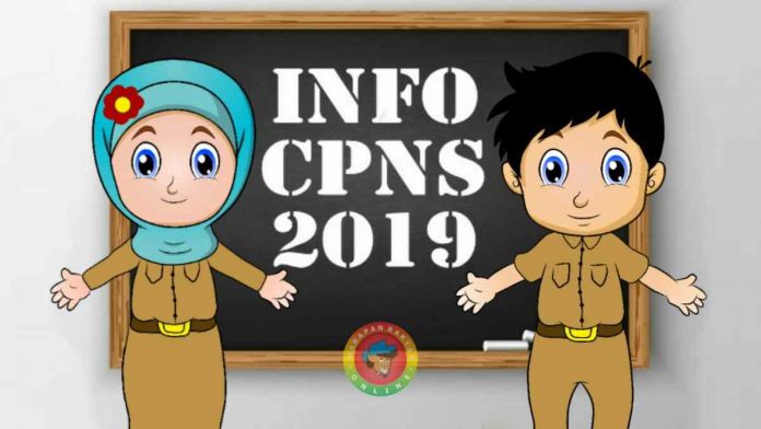 pengumuman rekrutmen cpns 2019