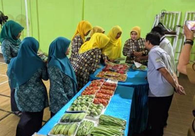 Istri Wabup Ciamis Tinjau Produk Unggulan KPM PKH