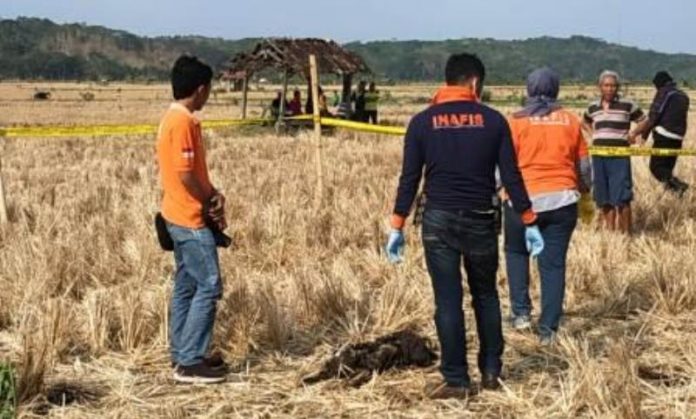 Jasad Tengkorak di Tengah Sawah Ciamis Diserahkan ke Keluarga