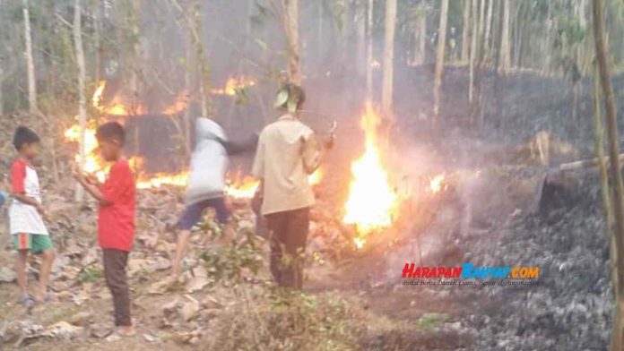 kebakaran lahan di Banjarsari Ciamis