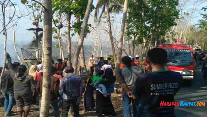 Kebakaran lahan di Pangandaran