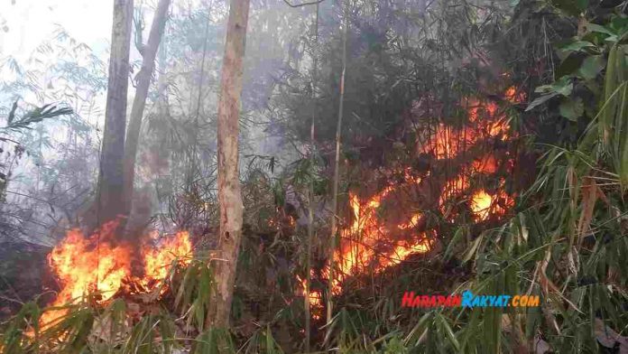 Kebakaran di Gunung Sangkur