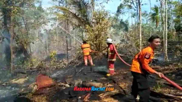 kebakaran hari ini di Pangandaran