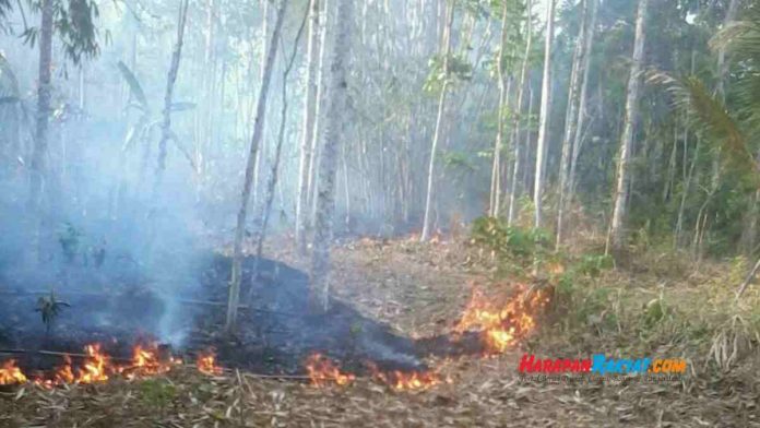 kebakaran lahan di Banjarsari