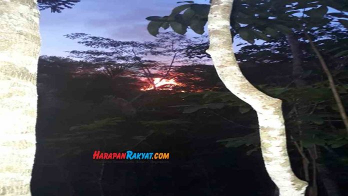 Kebakaran lahan di Ciamis Utara