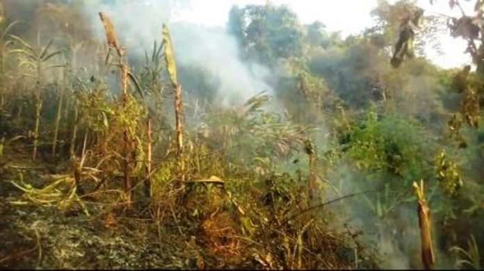 Lahan Hutan Jati Gunung Sangkur Kota Banjar Kembali Terbakar