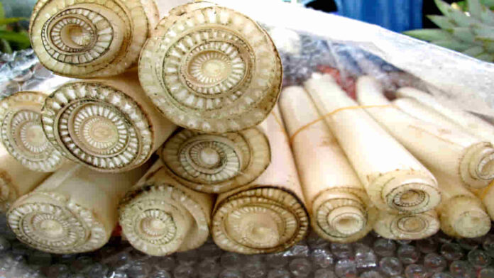 Manfaat Batang Pohon Pisang untuk Kesehatan, Kontrol Tekanan Darah