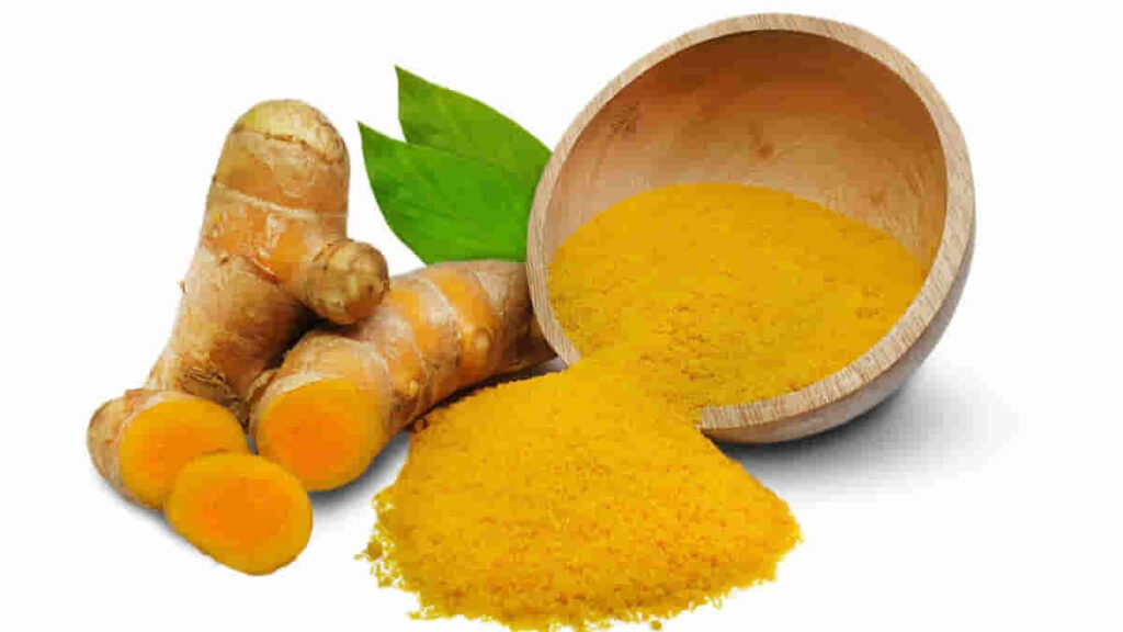 Temulawak: Tanaman Obat Serbaguna dengan Segudang Manfaat