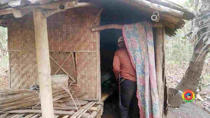 Gubuk Bekas kandang kambing