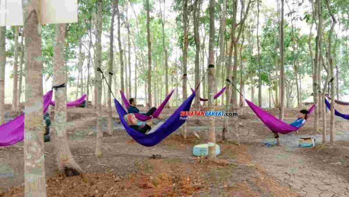 Wana Wisata Mandiri Sayang Kaak Ciamis