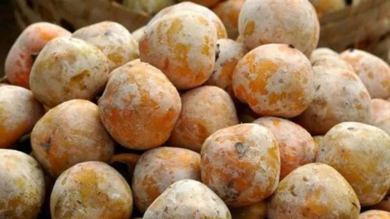manfaat buah kesemek untuk kecantikan, si buah genit