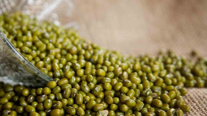 Manfaat kacang hijau untuk ibu hamil