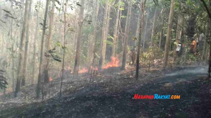 lahan di Kota Banjar