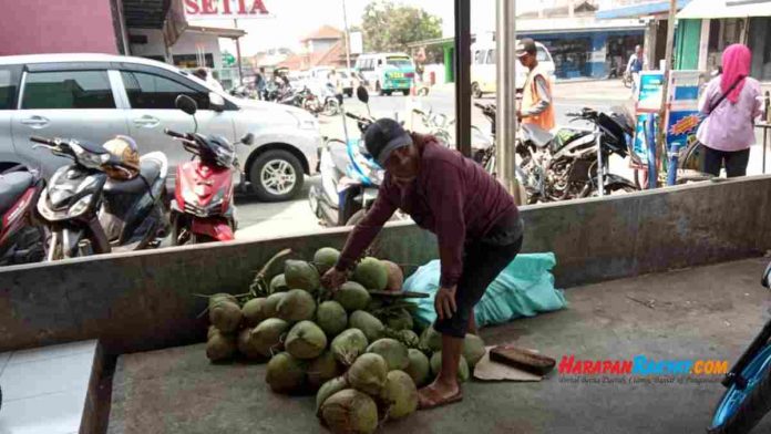 penjual kelapa muda