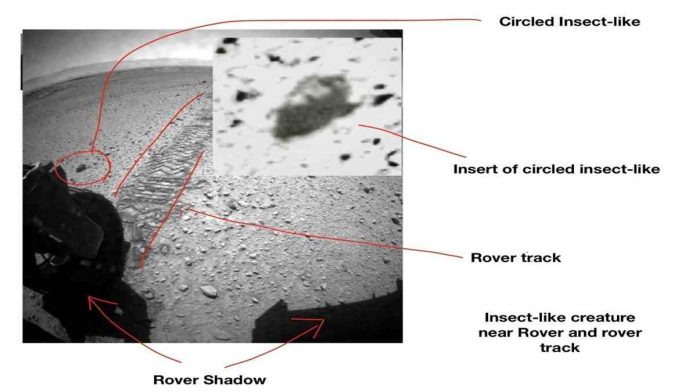 ada makhluk hidup di Mars