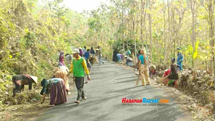 perhutanan jati gunung sangkur
