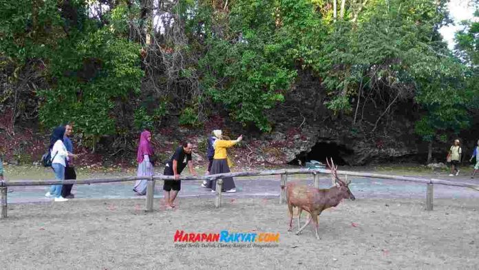 Penataan Cagar Alam Pangandaran