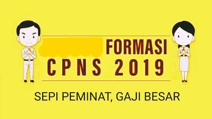 Formasi CPNS 2019