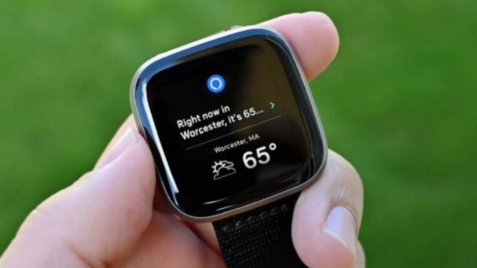 Google Beli Fitbit