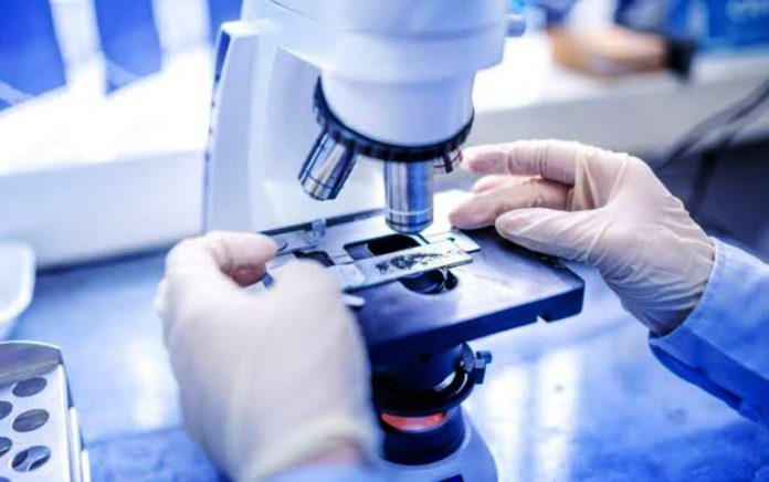Hasil Riset Unik Tentang Sperma