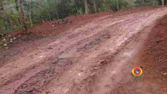 Jalan Milik Pemda Ciamis