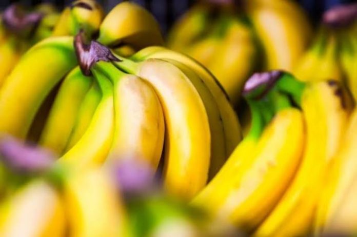 Jenis Pisang di Dunia dengan Ciri Khas Masing-masing