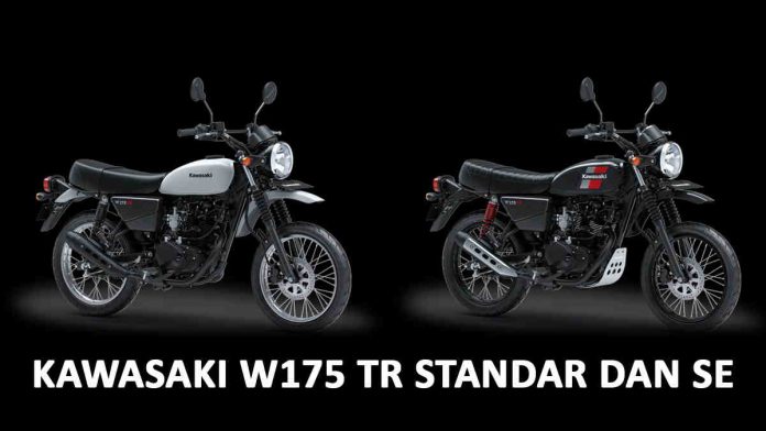motor Kawasaki W175 TR