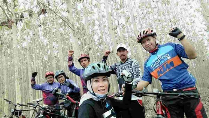 kebun jati di Handapherang