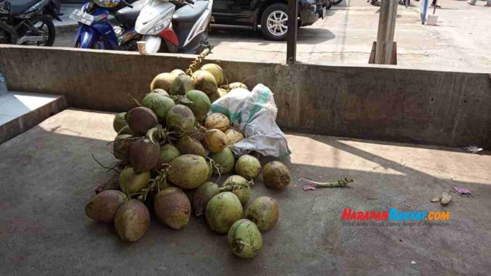 pedagang es kelapa muda