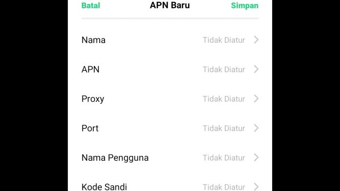 Koneksi Internet Lemot APN