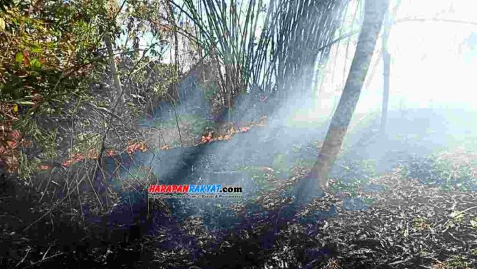 Kebakaran lahan produktif kembali terjadi di wilayah Kabupaten Pangandaran, Jawa Barat, Rabu (06/11/2019).