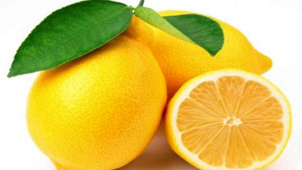 Buah lemon. Photo : Net/Ist.