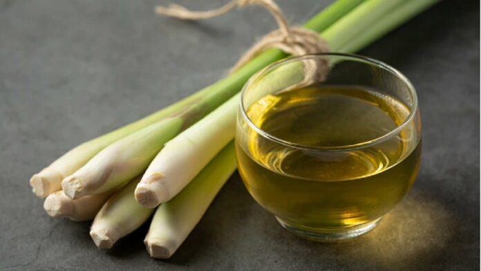 Manfaat Daun Sereh yang Luar Biasa untuk Kesehatan Tubuh!