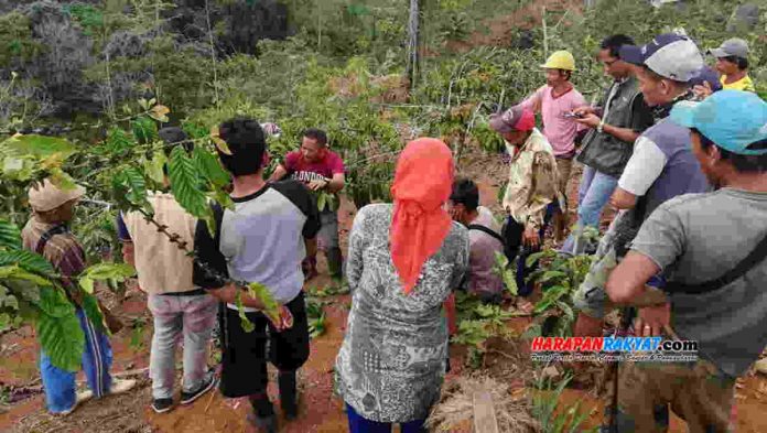 Pelatihan petani Kopi