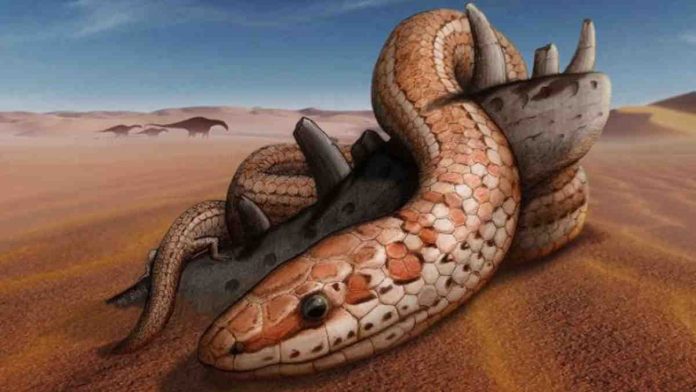 Ilustrasi Penemuan Ular Berkaki