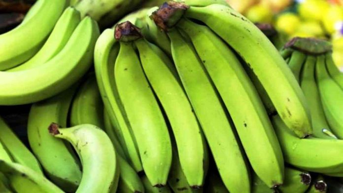 Pisang mentah bermanfaat untuk kesehatan tubuh, salah satunya menurunkan berat badan.