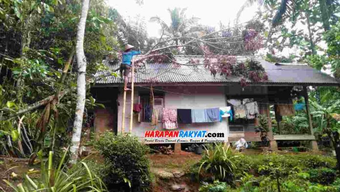 Akibat hujan deras disertai angin kencang, satu rumah warga di Kabupaten Pangandaran, tertimpa pohon tumbang.