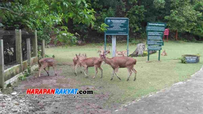 Liburan Natal dan Tahun Baru