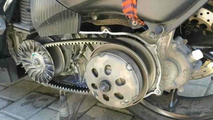 Van Belt