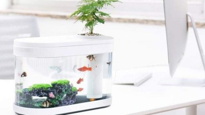 Xiaomi Fish Tank