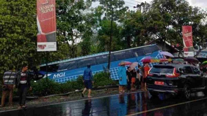 Bus Pariwisata