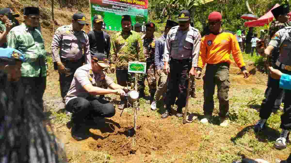 Teknik Penanaman Pohon Pelindung Yang Efektif