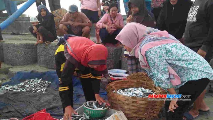 Beli Ikan Langsung dari Nelayan Pangandaran Jadi Daya Tarik Pengunjung - Harapan Rakyat