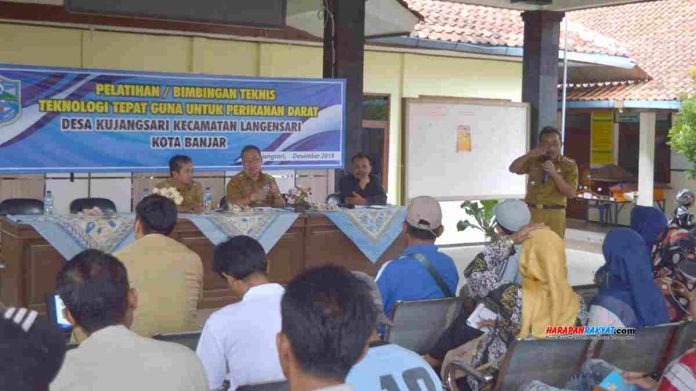 Budidaya Lele Bioflok
