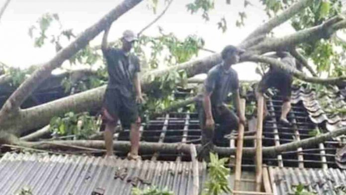 Dua Rumah di Pamarican Ciamis Tertimpa Pohon Tumbang