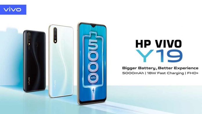 HP Vivo Y19 Sudah Bisa Pre-Order di Indonesia