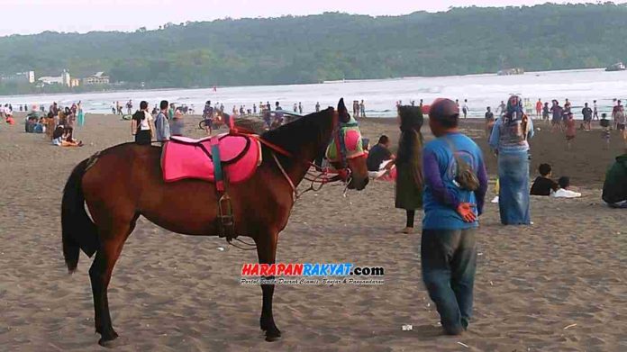 jasa sewa kuda bagi wisatawan yang ingin berjalan-jalan di bibir Pantai Barat Pangandaran dengan menunggangi kuda.