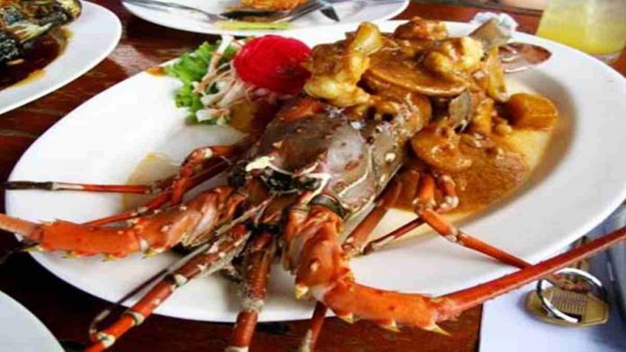 manfaat lobster untuk kesehatan