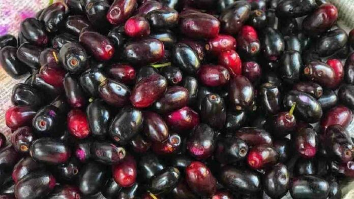 Manfaat Buah Duwet