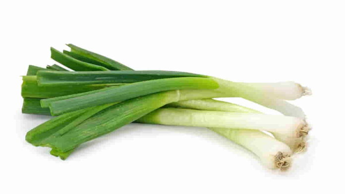 Manfaat Daun Bawang untuk Kesehatan, Bisa Menyehatkan Tulang!